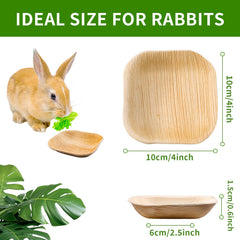 Jiaxix disposable bowls pack of 30 for quick mealtime cleanup.