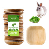 Jiaxix palm leaf bowl 4-inch closeup, natural, safe feeding option for small pets.