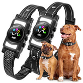 Jicawz bark collar with dual LED lights for evening visibility during walks.