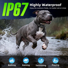 Jicawz IP68 waterproof bark collar for rain and outdoor adventures.