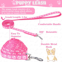 JieyueJewelry soft nylon dog collar for lightweight daily use