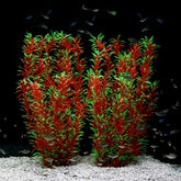 JIHAQUA two-piece 21-inch wine plastic plants decor for aquariums, stable and safe.