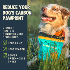Jiminy's Cinnamon Soft Chew delivers satisfying texture for longer chew time.
