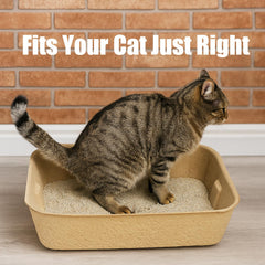 JINVOGREEN disposable litter tray being used for mess-free trips