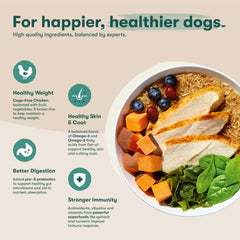 Jinx kibble nourishes heart and coat with pumpkin taurine and fish oil