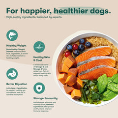 Jinx real salmon ingredient signals high-quality protein for active dogs.