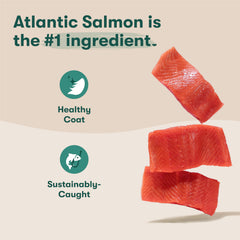 Jinx sweet potato pieces in kibble promote fiber and energy for daily activity.