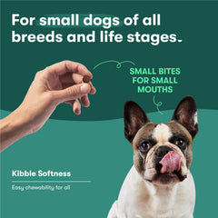 Jinx probiotics label communicates live cultures for digestive balance.