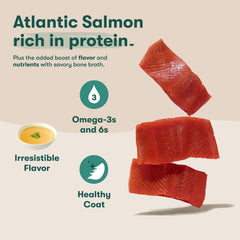 Jinx real salmon and chicken chunks close-up highlighting savory ingredients.