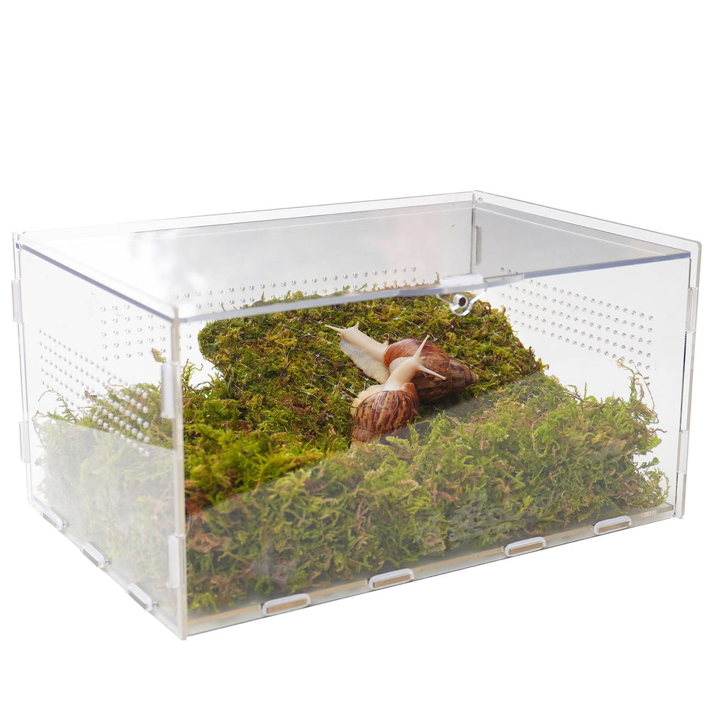 Jinymral Snail Terrarium front view showcases clear visibility for easy observation.