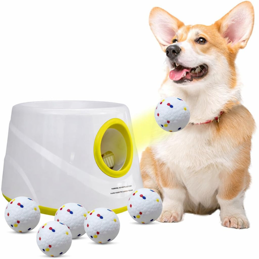 JLGK automatic ball launcher front view enabling independent dog play