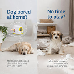 JLGK launcher in living room setup demonstrating indoor fetch