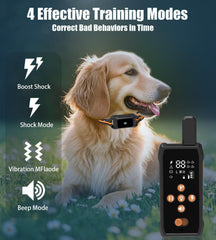 JLZNLC dual-channel remote trains two dogs simultaneously for efficiency.