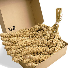 Jmxu's spray millet 12-inch bundle for shared feeding and long-lasting treats.