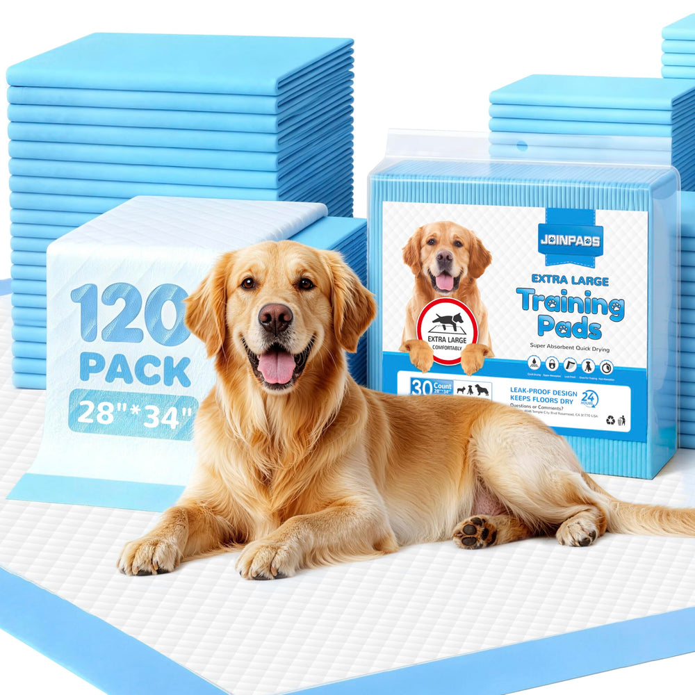 JOINPADS XL puppy pad shows 28x34 inch size for training indoors