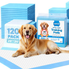 JOINPADS XL puppy pad shows 28x34 inch size for training indoors