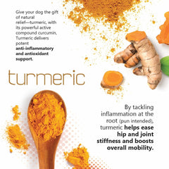 Joint Max TS dosing scoop beside chews for precise daily servings.