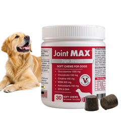 Joint Max TS soft chews bottle on shelf, supporting joint comfort for dogs.