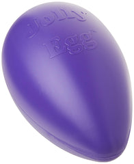 Jolly Pets Jolly Egg toy in purple encourages playful chasing.