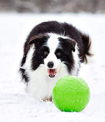 Jolly Pets soccer ball surface shows textured grip for wet play.