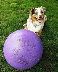 Jolly Pets Push-N-Play Ball floats on water for versatile outdoor fun.