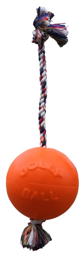 Jolly Pets Romp-n-Roll 8-inch ball designed for large dogs, durable and bouncy for fetch.
