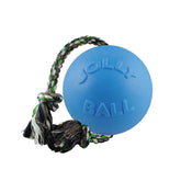 Jolly Pets Romp-n-Roll blueberry ball with rope for interactive fetch and tug play.