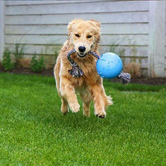 Close-up view of Jolly Pets Romp-n-Roll blueberry ball showing texture and color.