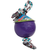 Jolly Pets Romp-n-Roll purple dog toy with 6-inch ball for durable outdoor play