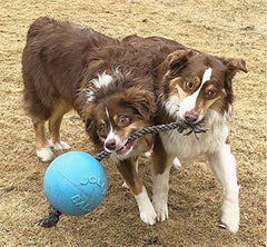 Jolly Pets Romp-n-Roll easy grip rope supports tug-of-war and interactive play.