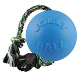 Jolly Pets Romp-n-Roll large blue blueberry ball ready for fetch and rugged play.