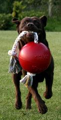 Jolly Pets Romp-n-Roll ball proudly made in the USA, supports shelters.