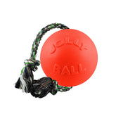 Jolly Pets Romp-n-Roll small ball 4.5 inches for tiny dogs, great for fetch.