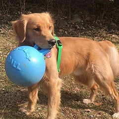 Jolly Pets Tug-N-Toss ball with integrated handle for versatile play
