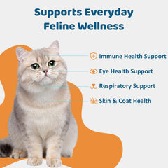 Close-up of Jollyfit L-Lysine cat paste texture for easy administration.