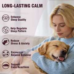 Jomielerr Calming Chews paw scene conveys steady daily relief for pets.