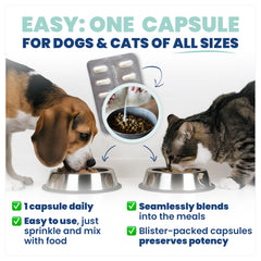 Jope Synbiotic GB-01 supports healthy digestion and stool quality in pets.