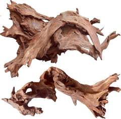 Jorewood driftwood twisted branches in aquarium create natural climbing surfaces.
