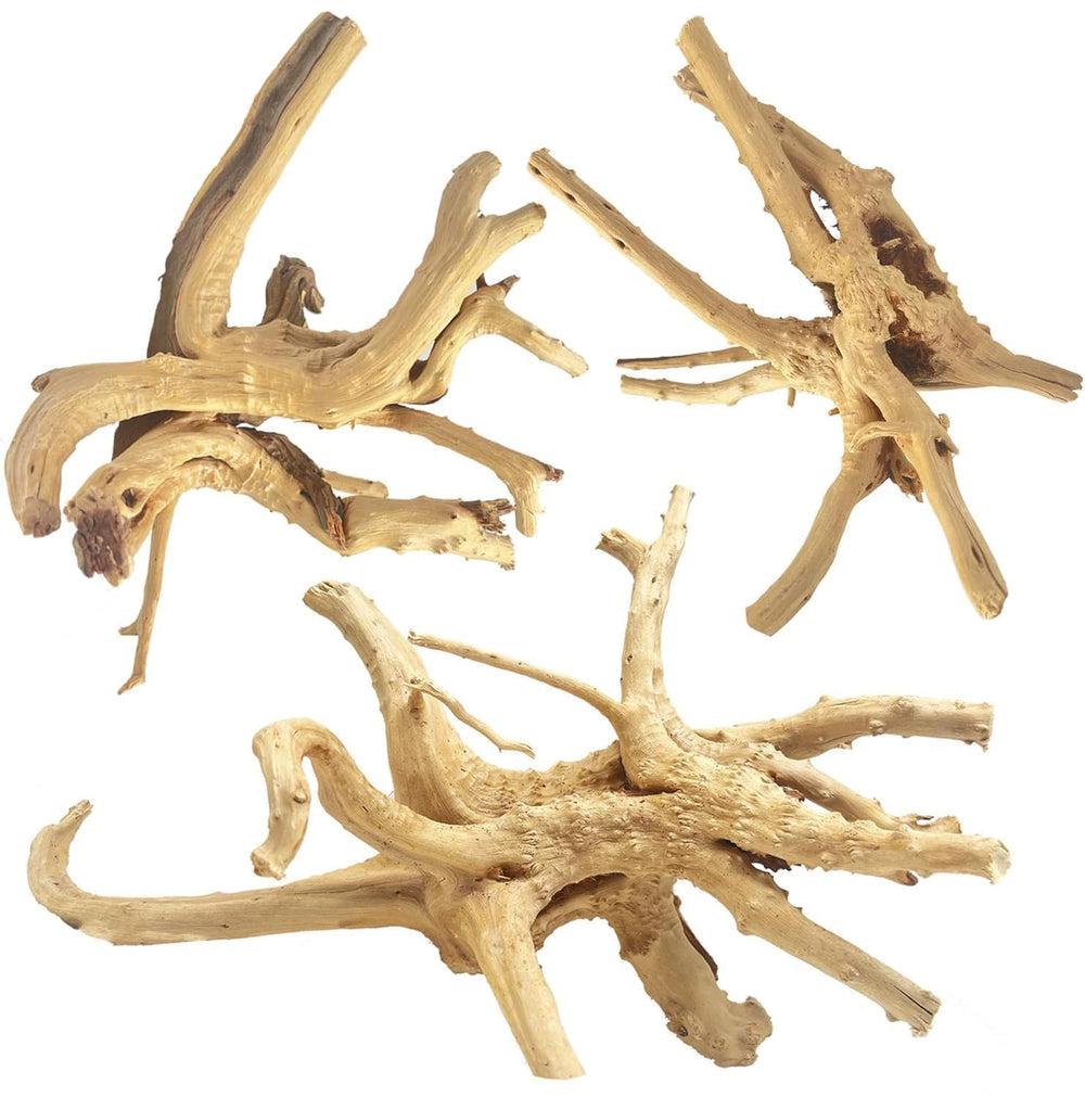 Jorewood Spiderwood branch closeup highlights natural texture for vibrant aquarium decor.
