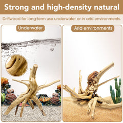 Jorewood spiderwood driftwood aquarium setup with branch 4-7 inches