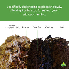 Josh's Frogs ABG Mix long-lasting soil maintains structure and moisture over time.