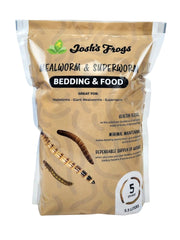 Josh's Frogs mealworm bedding in a 5qt container supports easy habitat setup.