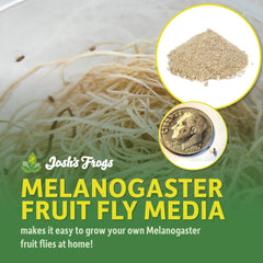 Josh's Frogs MELANOGASTER media contents ready for mixing for easy culture setup.