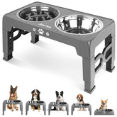 Jovrun elevated stand enabling comfortable dining height for dogs