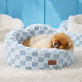 Joydeco Cloud Bed with orthopedic foam supports small dog's head and neck.