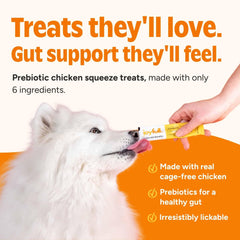 JoyFull Chicken Squeeze Treats texture close-up, smooth paste for lick mats and toys