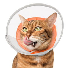Joypig Cat Cone Collar Soft front view shows comfortable post-surgery protection