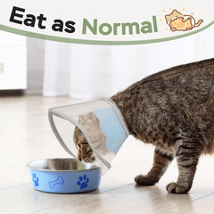 Joypig cat cone soft lightweight padding adds comfort during recovery.