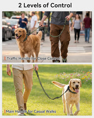 Joytale Leash features reflective threads for visibility during night walks.