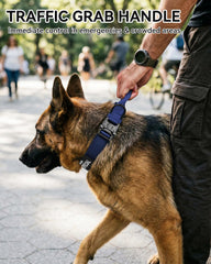 Joytale heavy-duty nylon strap highlights durability for strong dogs during training sessions.